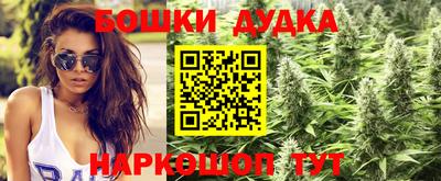 МДПВ Донецк