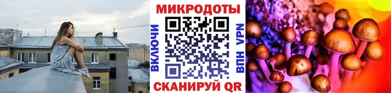 как найти наркотики  Менделеевск  дарк нет Telegram  Псилоцибиновые грибы Cubensis 