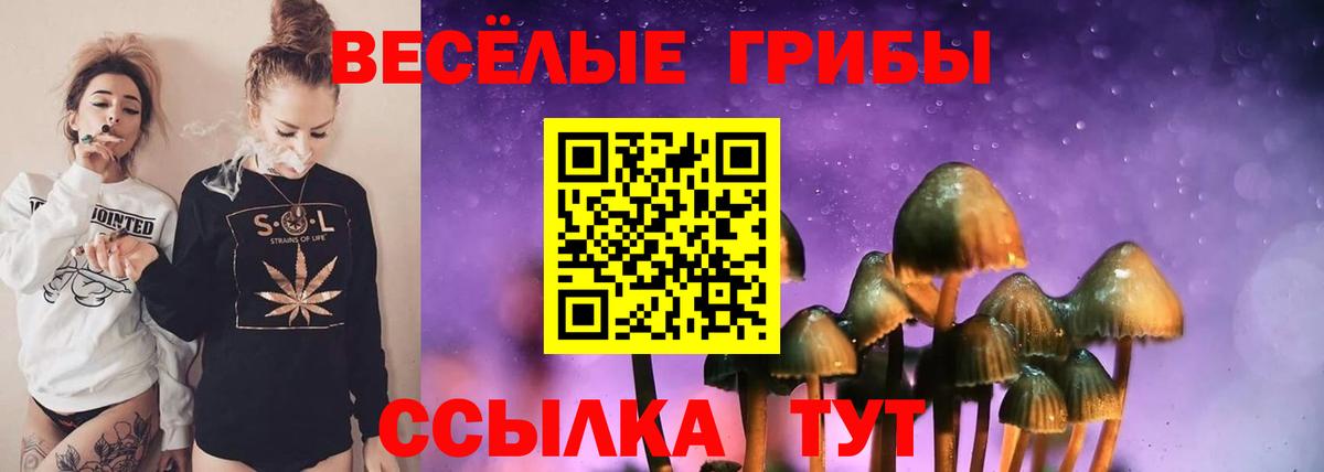 Псилоцибиновые грибы мухоморы  Вход с VPN  Менделеевск 